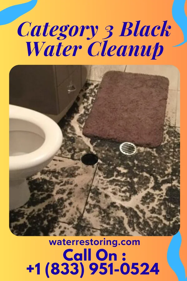 Category 3 Black Water Cleanup in Timberville, VA