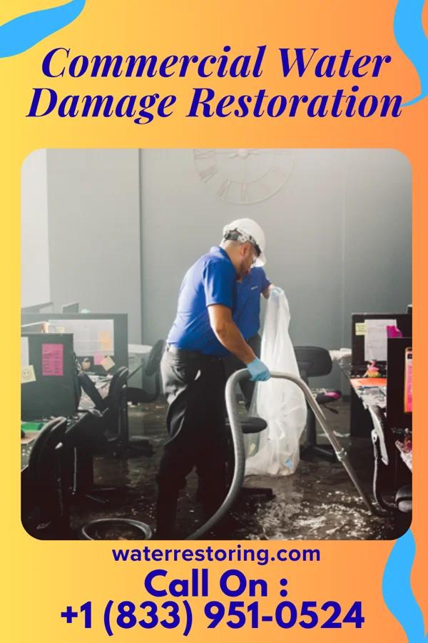 Commercial Water Damage Restoration in Timberville, VA