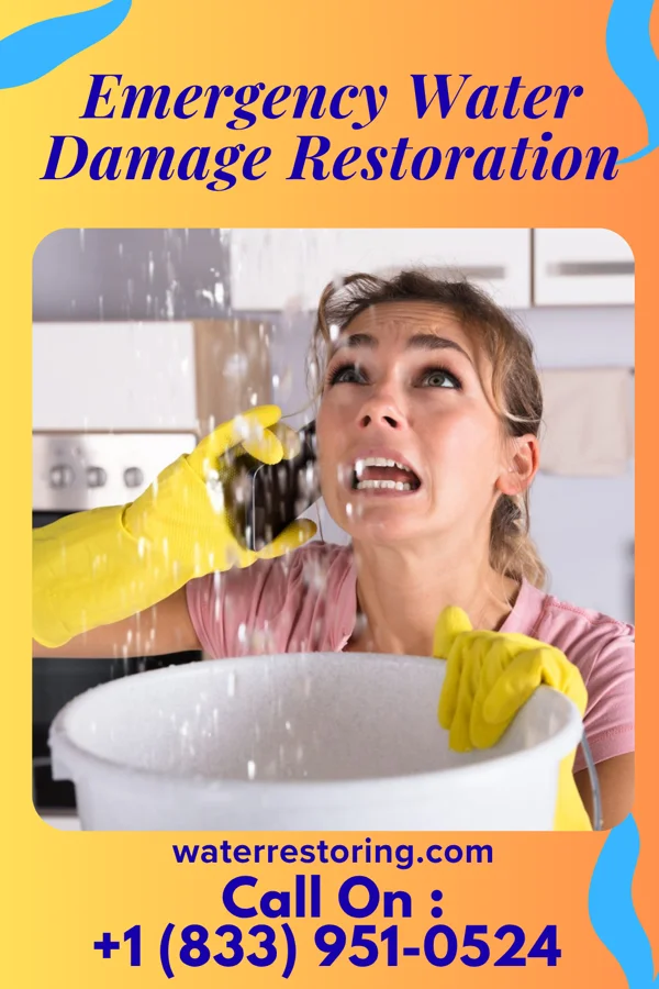Emergency Water Damage Restoration in Timberville, VA