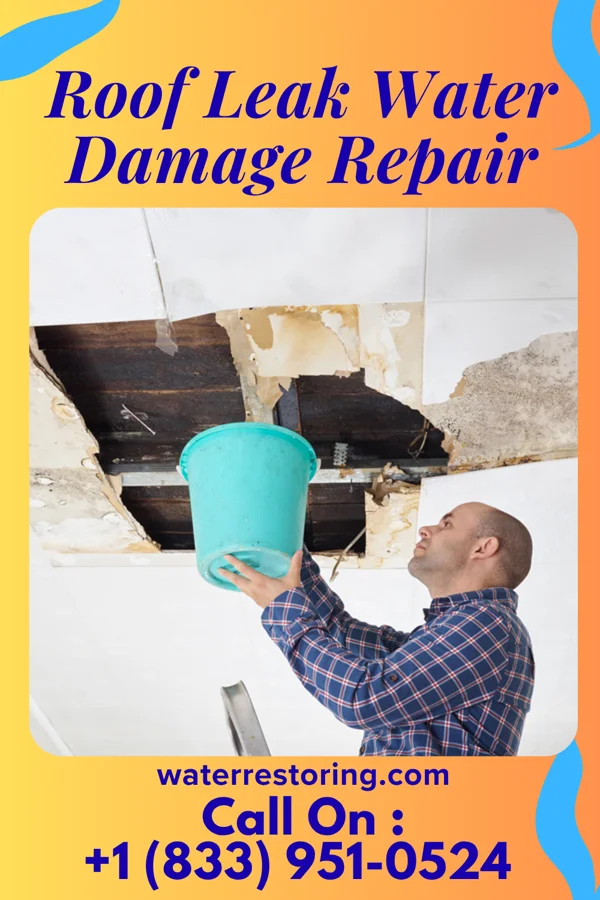 Roof Leak Water Damage Repair in Timberville, VA